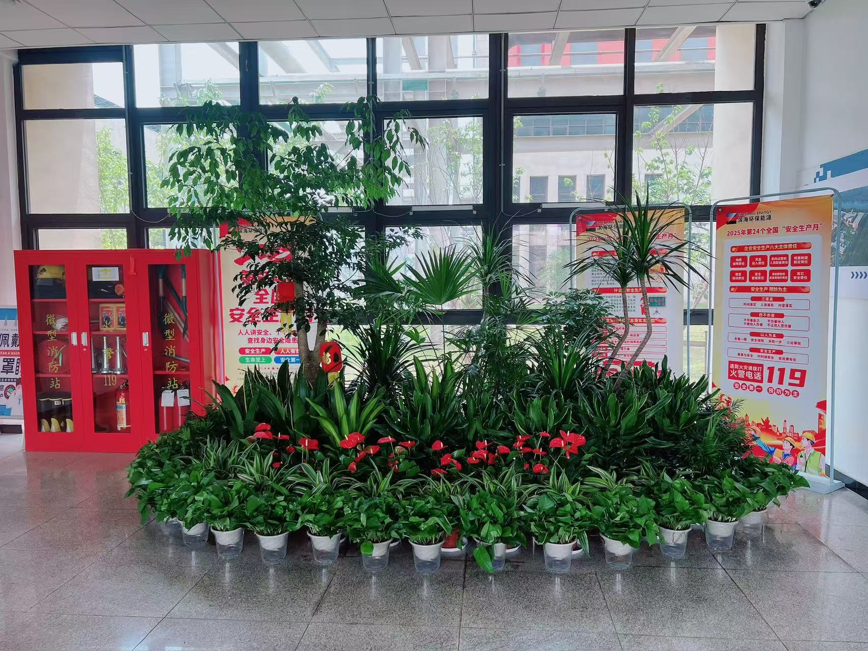 宁波前湾绿植租赁公司